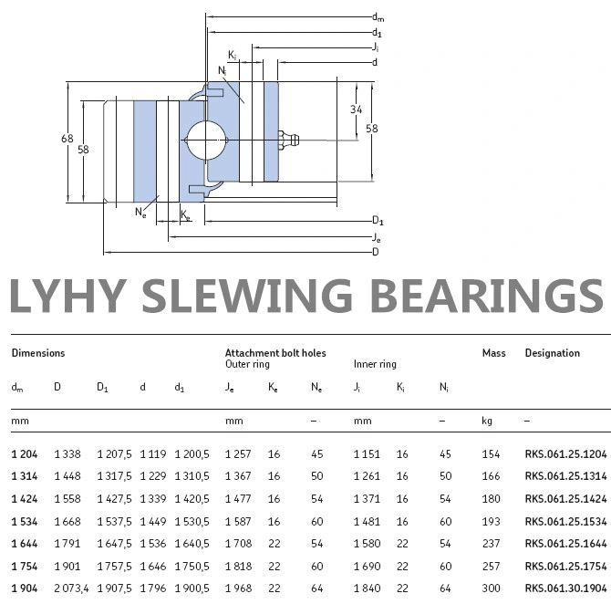 Floating Cranes Slewing Bearing Rks. 061.25.1754 Single Row Ball Slewing Ring