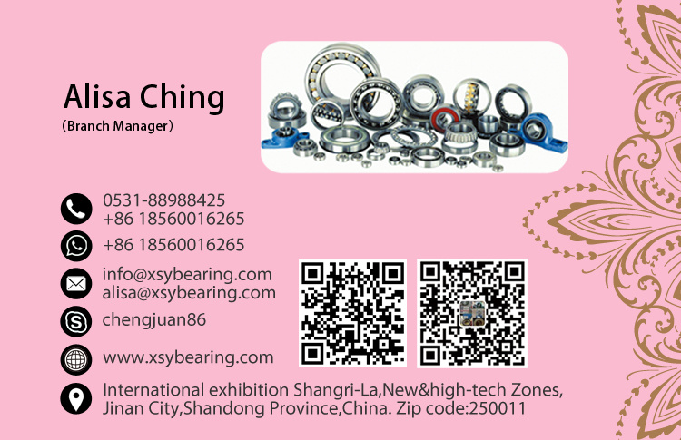 New Bearing Cylindrical Roller Bearing (NU305ET Cylindrical Roller Bearing)