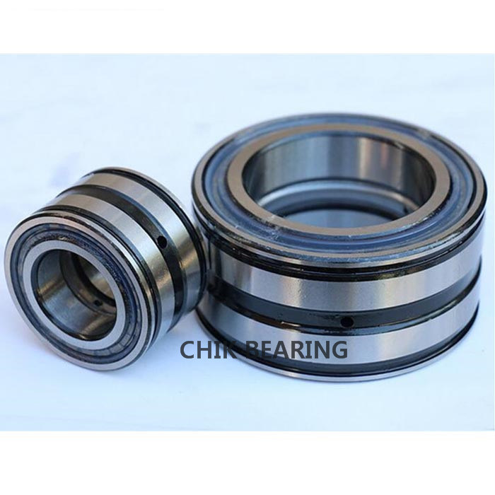 Germany Bearing Double Row Full Complement Cylindrical Roller Bearing SL04 5005 PP