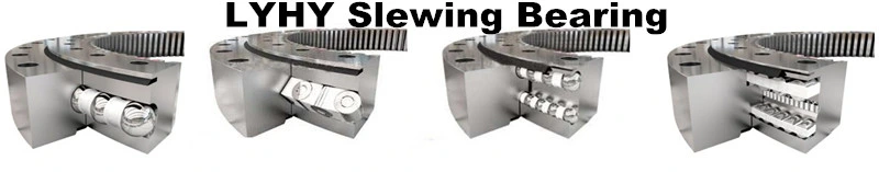 ISO Certified Swing Bearing 061.25.1250.100.11.1504 Slewing Gear for Access Platforms