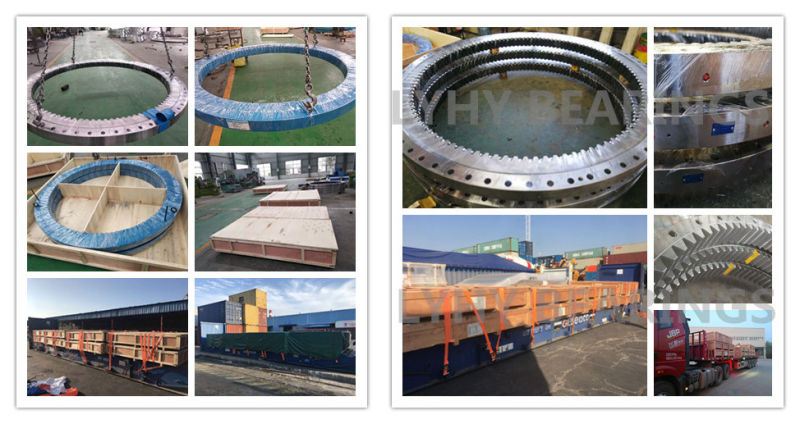 Gearless Slewing Bearing Slb 350	Turntable Bearings for Offshore Crane