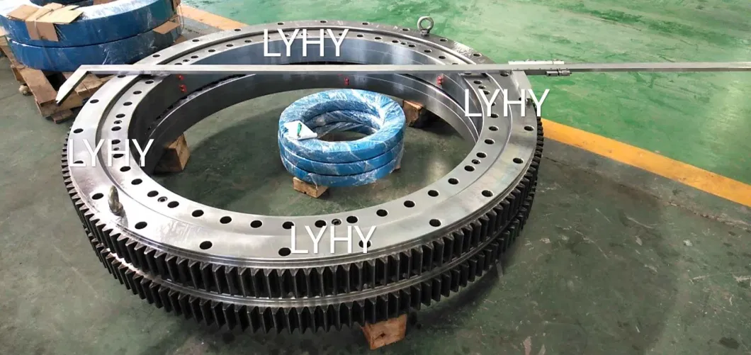 Slewing Ring Bearing Ring Bearing Turntable Bearing 9I-1b30-0995-0558