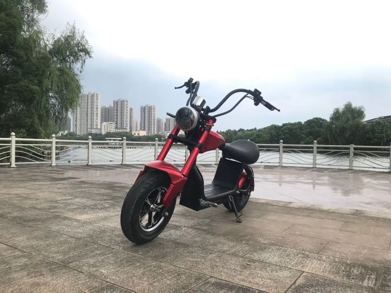Newest Electric Scooter 1000W 25 Km/H Scooter Electric Seat Cicycoco Electric Scooter
