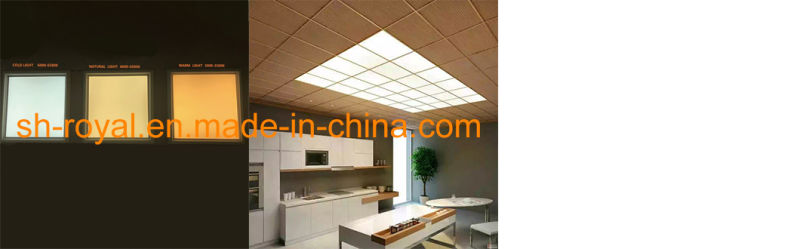 600*600 LED Ceiling Panel Lights/Small Round or Small Square 18W