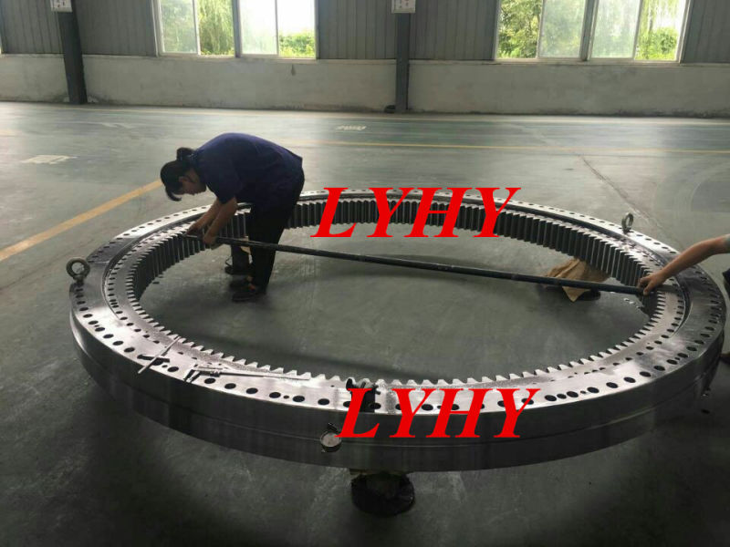 Slewing Ring Bearing Customized with Internal Gear (013.60.2240)