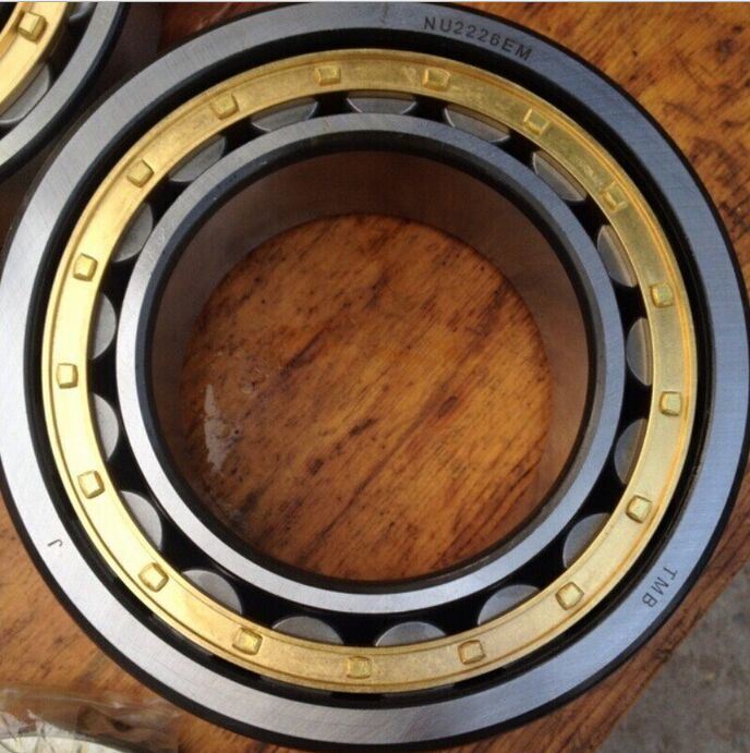 Crane Bearing Rn207 Em Cylindrical Roller Bearings NSK NTN N207