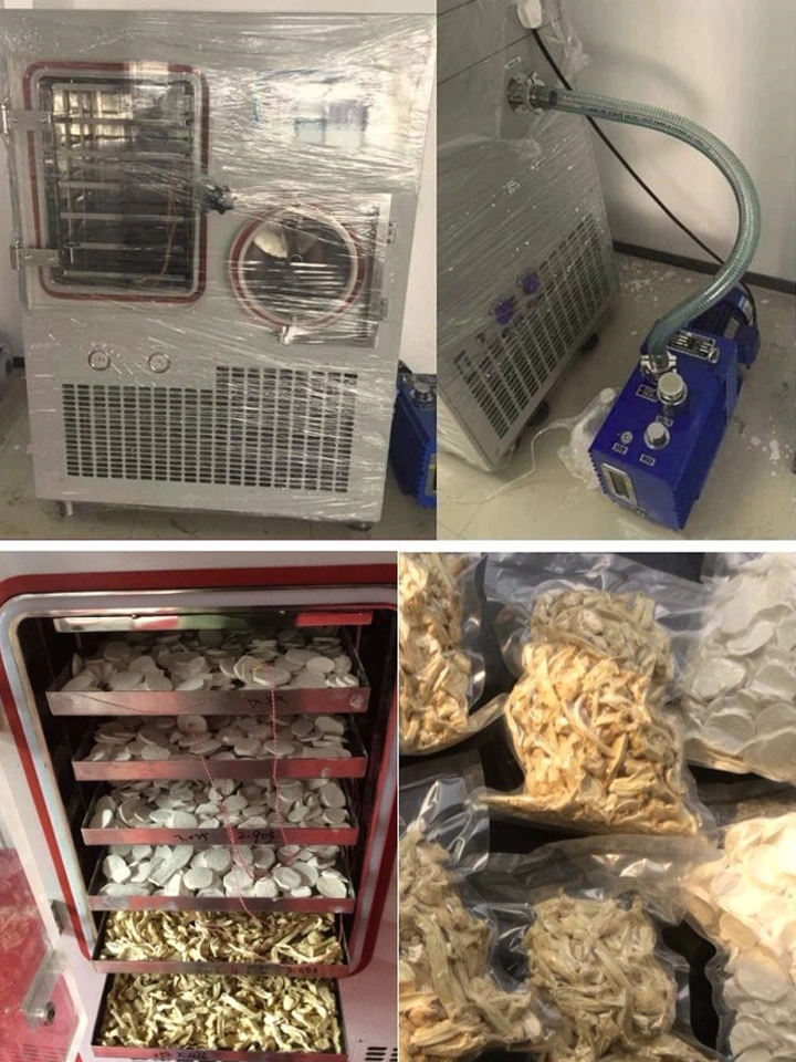 Scorpion Poison Vacuum Freeze Drying Machine Situ Freeze Dryer