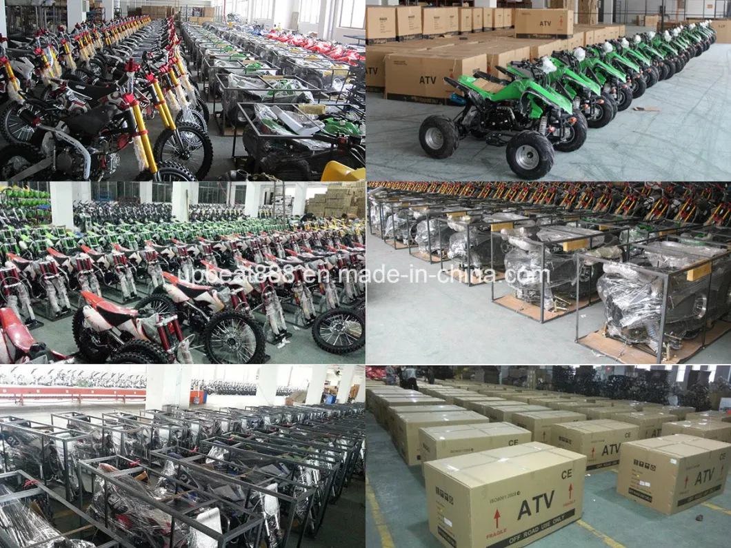 Upbeat Brand 125cc Pit Bike Pit Bike Moto Cross 125cc Dirt Bike 125 Pit Bike