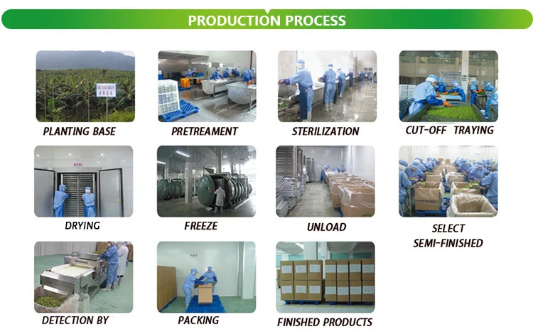 Natural Yellow Peaches Freeze-Dried Powder Juice Powder with Hot Sale