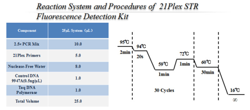 Blood/Saliva Card/Buccal Swabs DNA Extraction Reagent Rna Extraction Test Kits