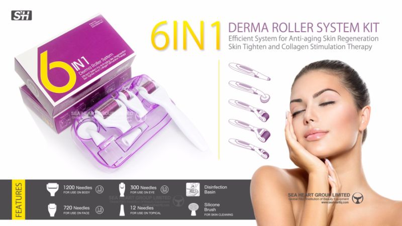 Derma Roller Kit 6 in 1 Microneedles for Skin Care