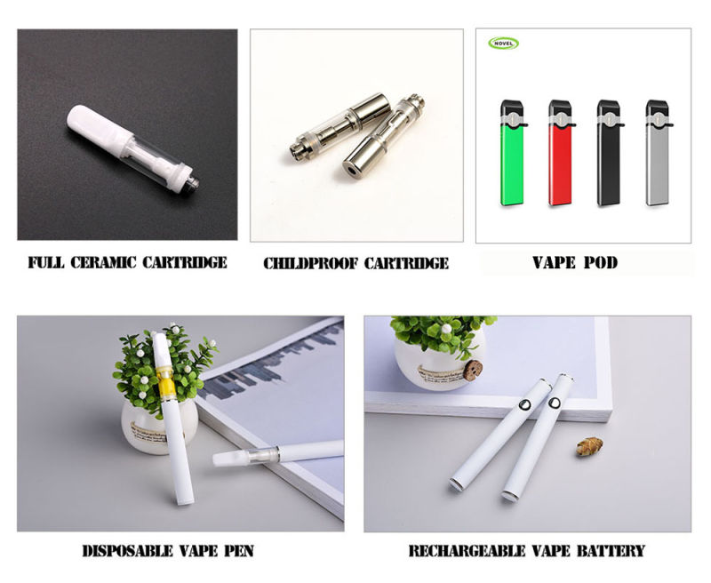 World's First Oval Shape Disposable Vape Pen with Big Capacity 210mAh