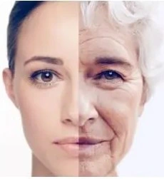 2020 Cosmetic Face Thin Type a 100iu Botox's Butula Meditoxin Botulinumtoxin Better Than Botox