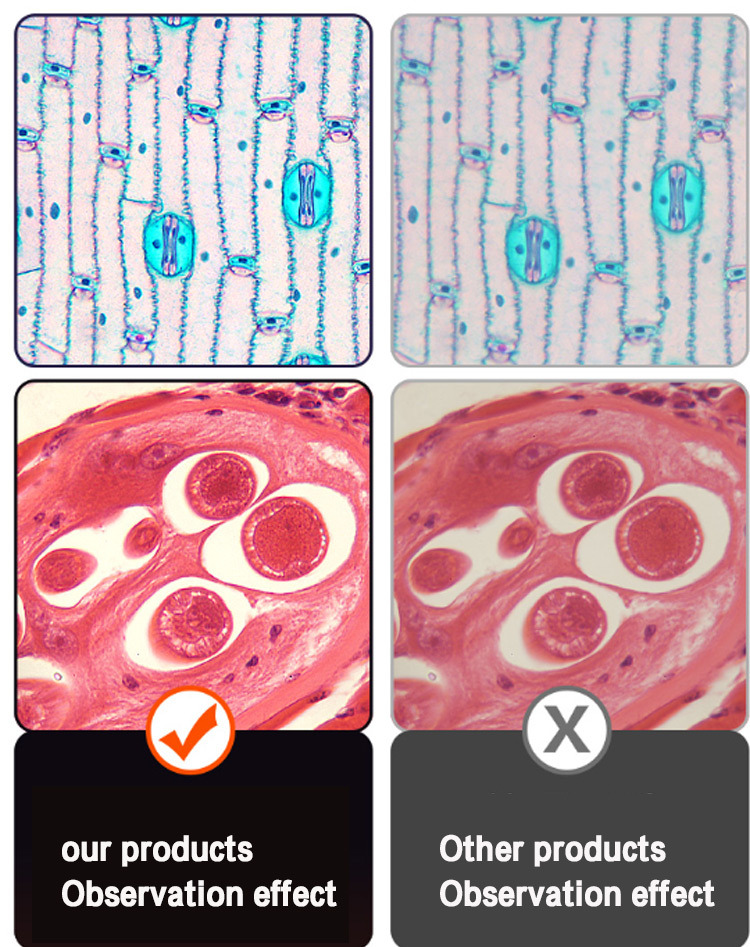 Tcsp-2ca Biological Microscope Widely Used in Biology