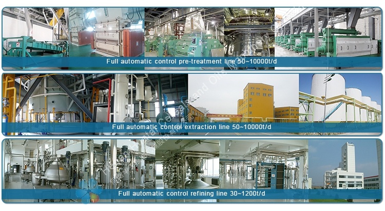 Rapeseed/Soybean/Cottonseed/ Rice Bran Oil Solvent Extraction Line Oil Cake Solvent Extraction Equipment