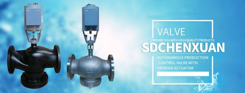 Shandong Chenxuan Manufactures Best-Selling Electric Control Valve of World