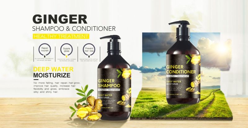 Private Label Anti Hair Loss Ginger Essence Extract Organic Hair Shampoo