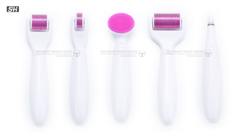 Derma Roller Kit 6 in 1 Microneedles for Skin Care