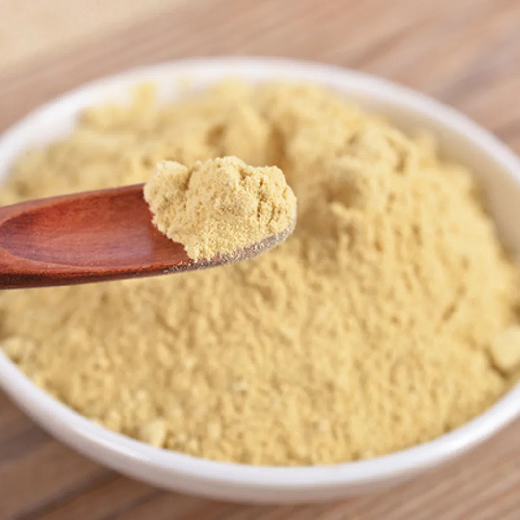 100% Natural Organic Freeze Dried Mango Extract Powder