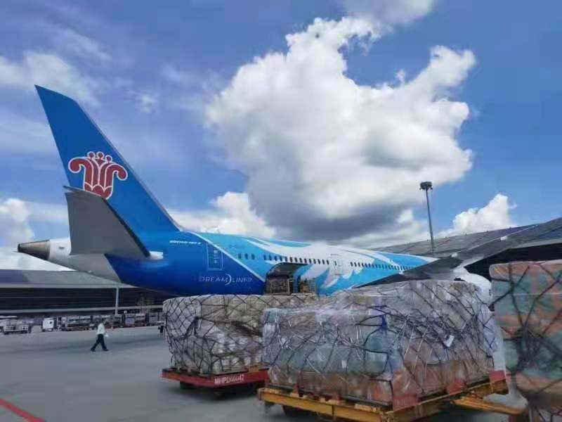 China to The Ports of The World Shipping Bulk Cargo LCL Service/Shipping Agent