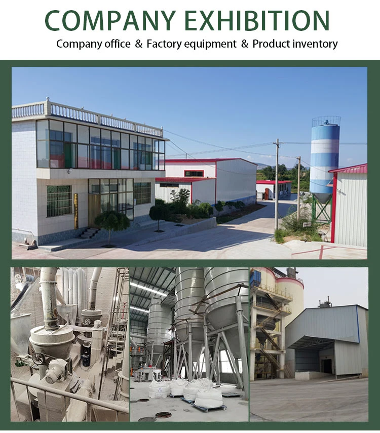 Calcium Carbonate Powder for Medicine Application