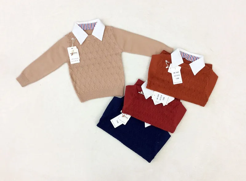 Four Color Boy Knitted Sweater