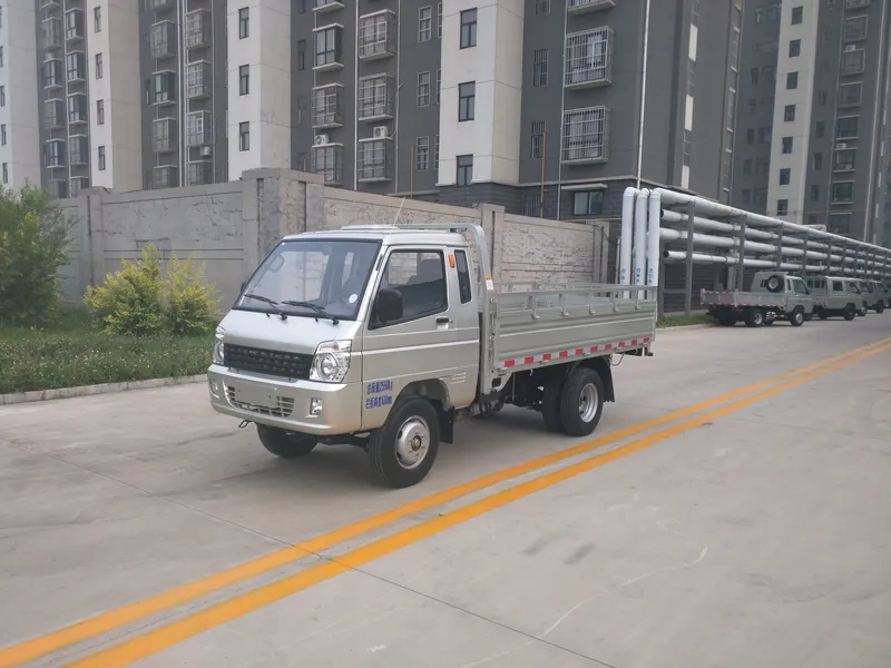 4*2 Mini Flatbed/ Flat Bed Cargo Body Light Duty Trucks