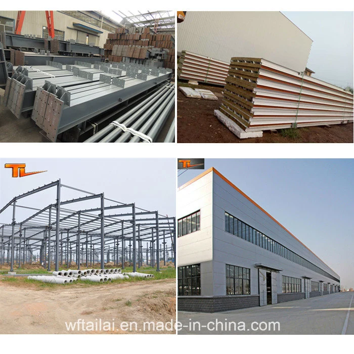 Large Span Steel Structure with H Beam Building Material Building Warehouse Worshop
