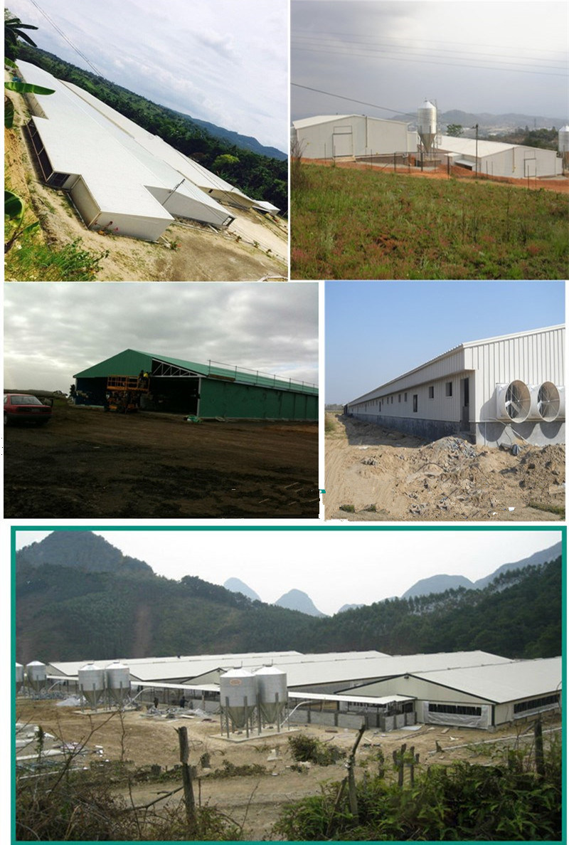 Prefabricated Container Office House/Container Camp Office House/Prefab Office Container House