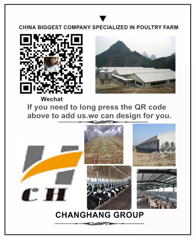 40FT 20FT Sandwich Panel Light Steel Prebuilt House Container Prices Prefab Portable Container House/Container Dormitory