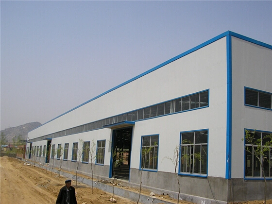 Steel Structure Workshop/Plant