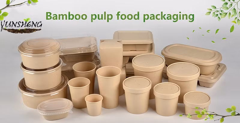 Compostable Disposable Takeout Food Paper Packaging with Paper Lids with Two Compartments
