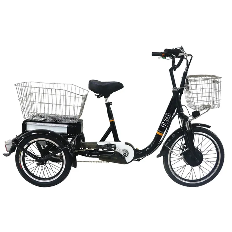 Adult Drift Trike Electric Trike for Adult with Canopy for Adult