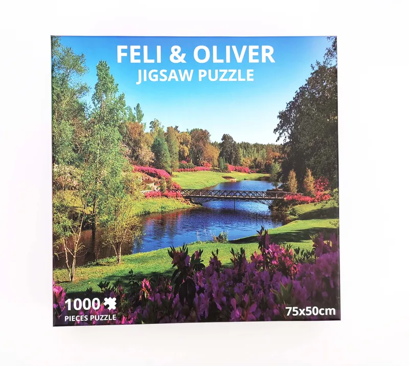 New Design 500 Pieces Paper Jigsaw Puzzle for Adults Gifts