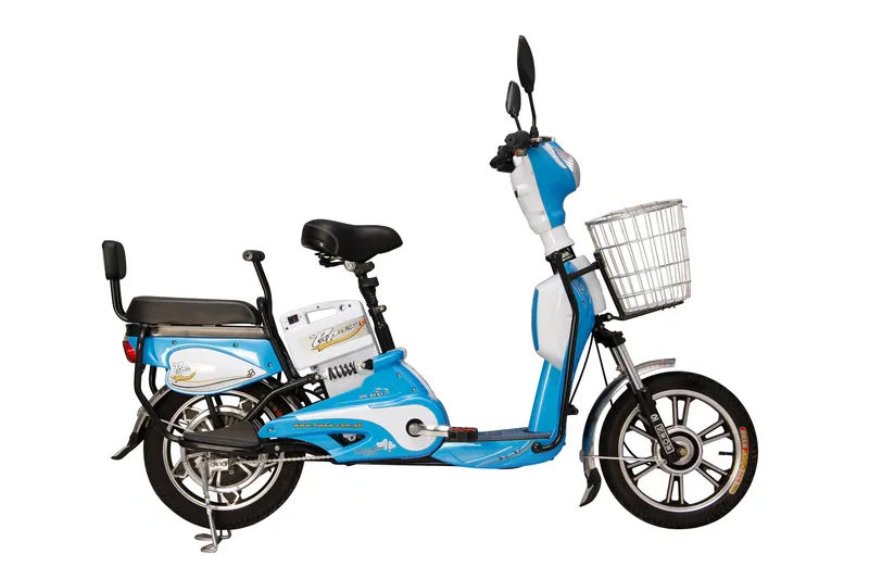 Simple and Easy Driving Electric Bike