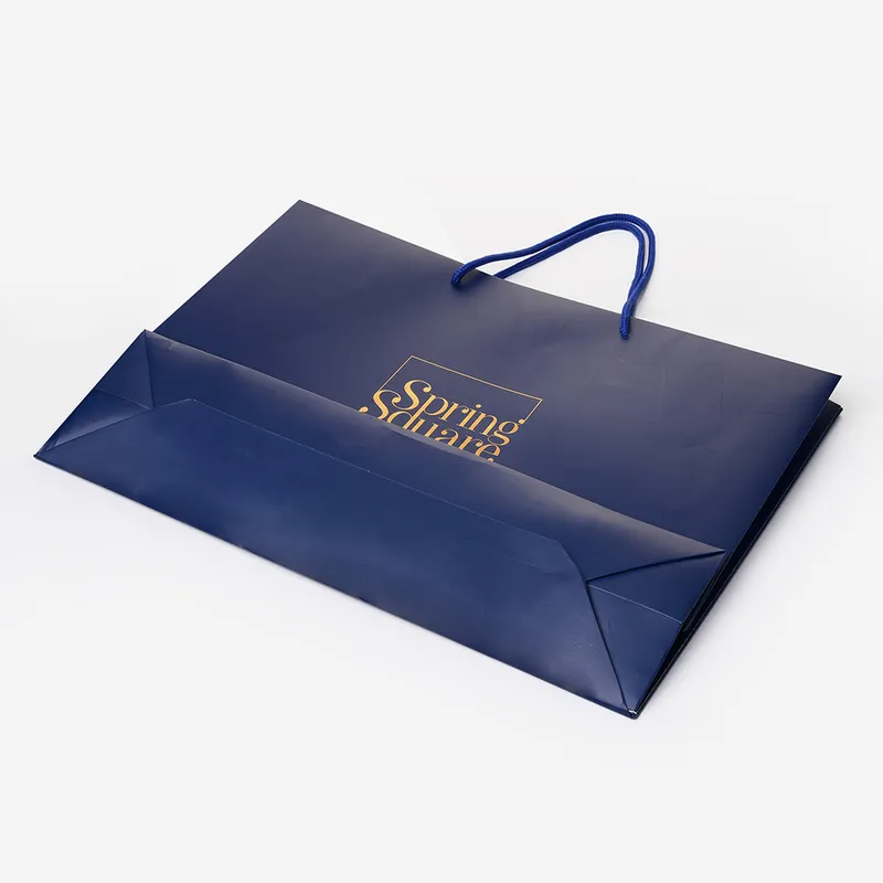 Flexo Printing Paper Carry Bags with Hot Stamping on Logo