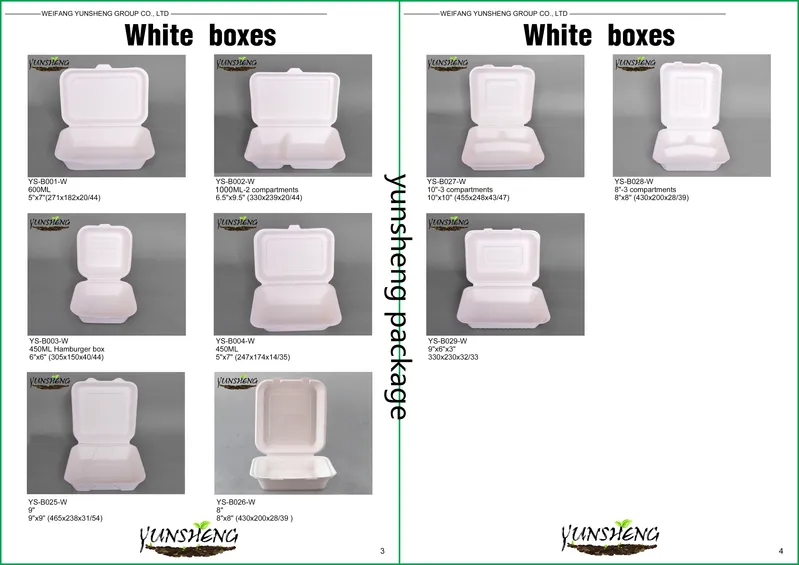 Compostable Disposable Takeout Food Paper Box with Paper & Transparent Lids with Two Compartments