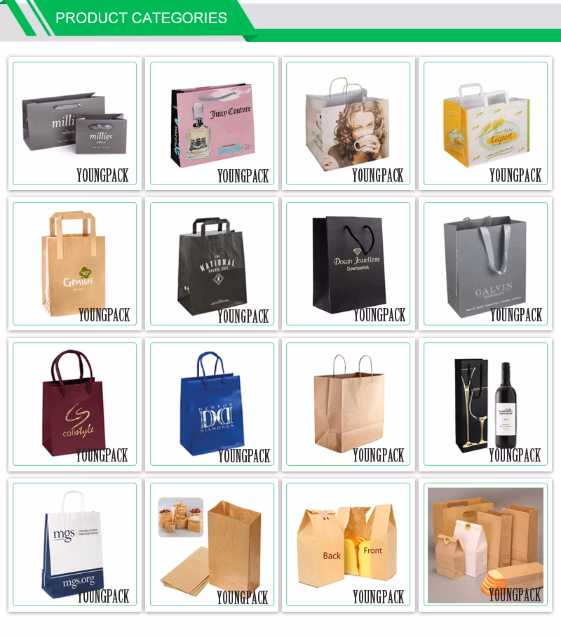 Custom Printed Luxury Matt Gift Paper Flower Bag