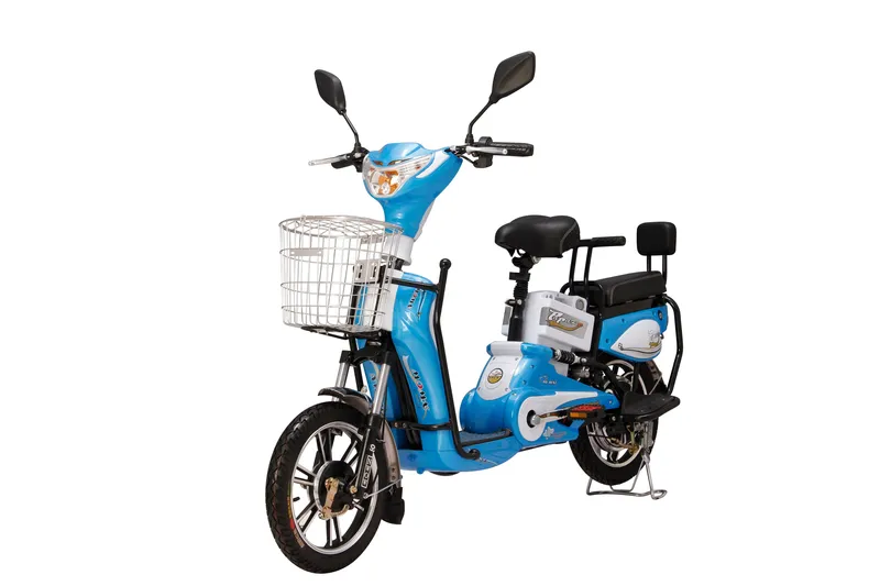 Simple and Easy Driving Electric Bike