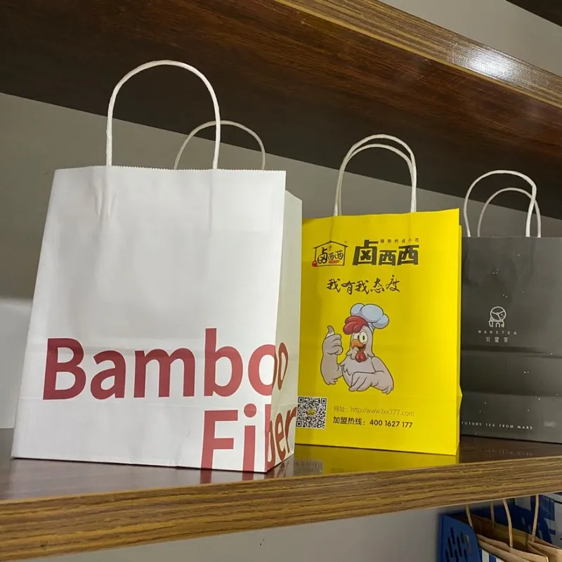 High Quality Custom Printed Fancy Art Paper Bags with Handle