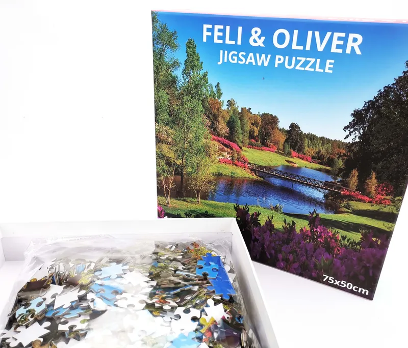 New Design 500 Pieces Paper Jigsaw Puzzle for Adults Gifts