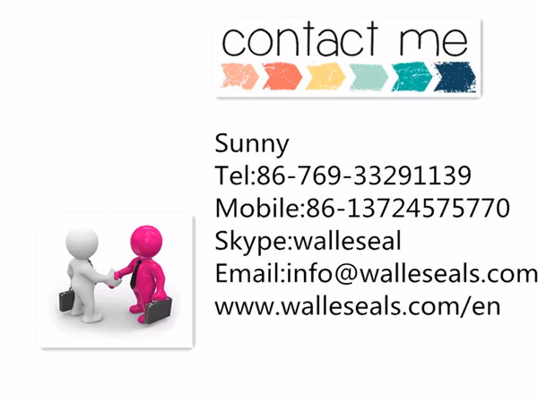 PTFE Value Seals/ Spring Seals/ Rings
