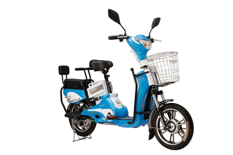 Simple and Easy Driving Electric Bike