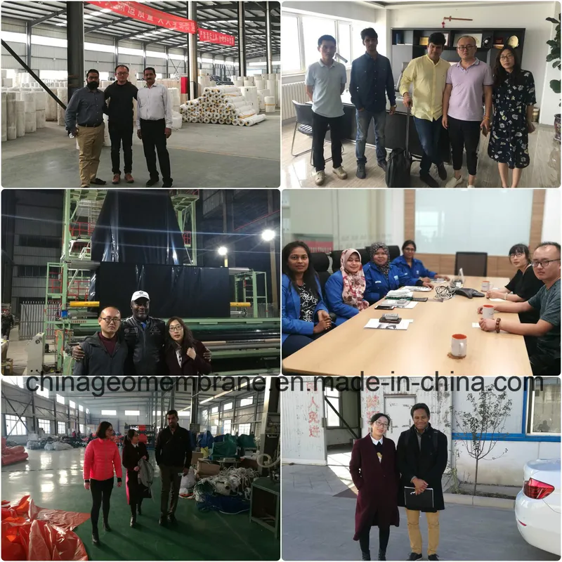 Cheap Price HDPE Plastic Drain Dimple Board for The Garage Floor