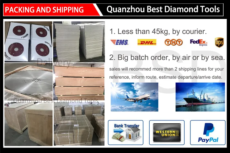 Diamond Floor Grinding Flat Insert Grinding Shoes for Concrete