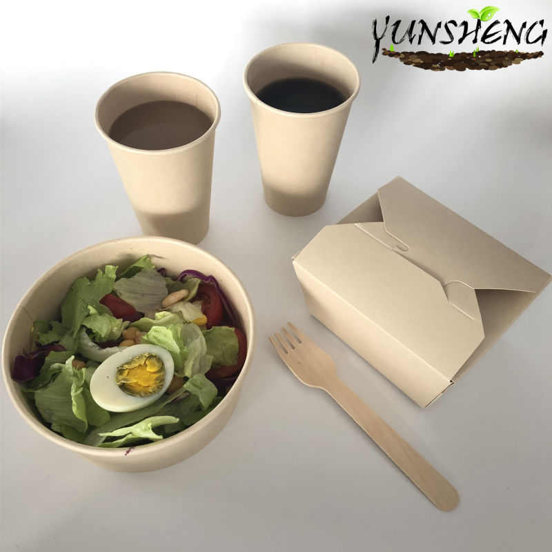 Biodegradable Compostable Paper Plates Bowls and Cups Disposable Tableware