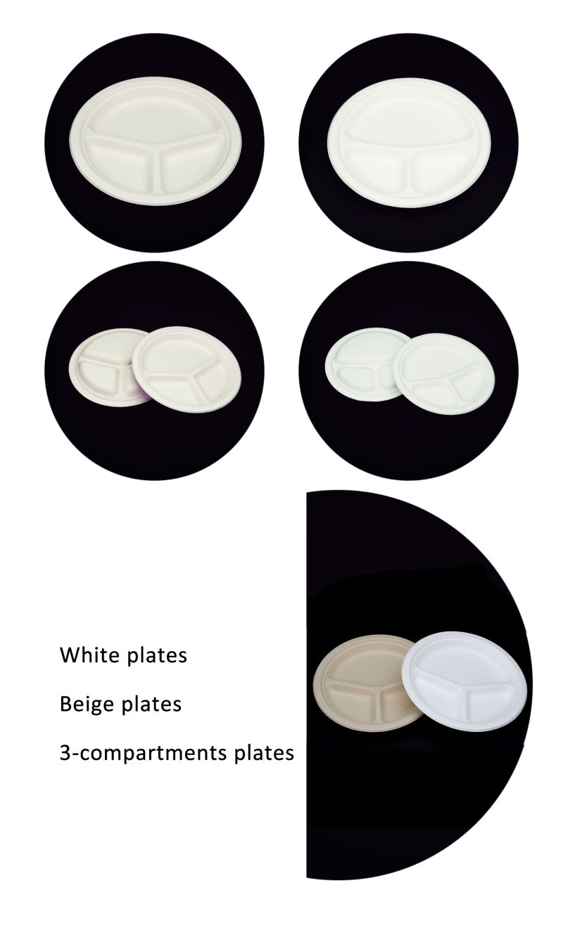 Biodegradable Compostable Paper Plates Bowls and Cups Disposable Tableware