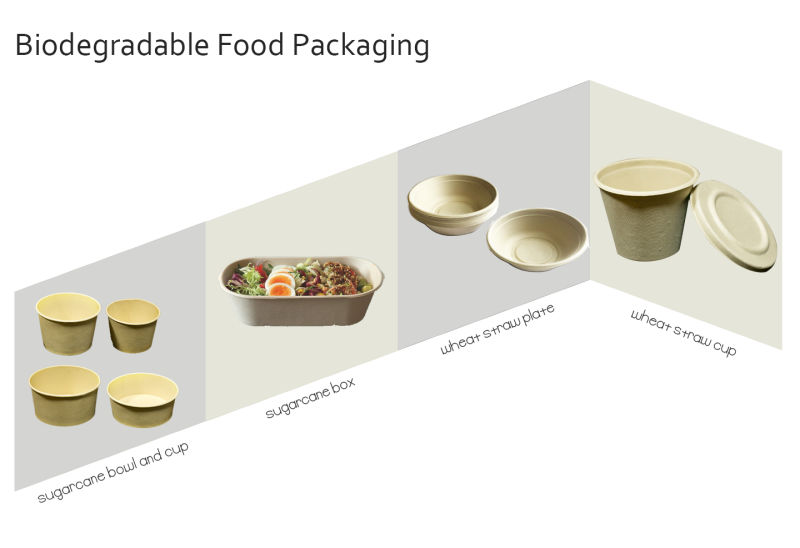 Biodegradable Compostable Paper Plates Bowls and Cups Disposable Tableware