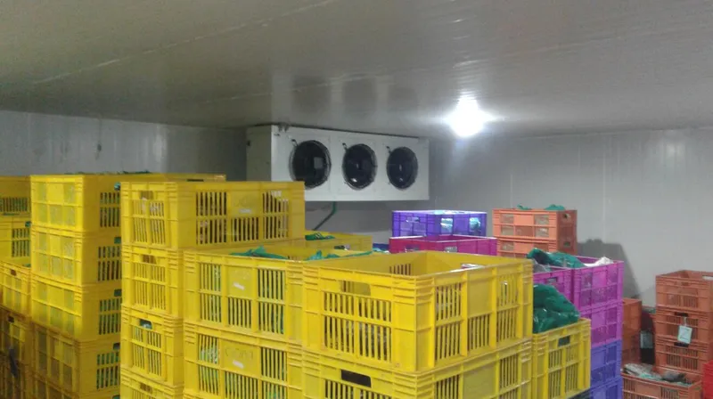 Cold Storage for Fish, Cold Storage for Seafood