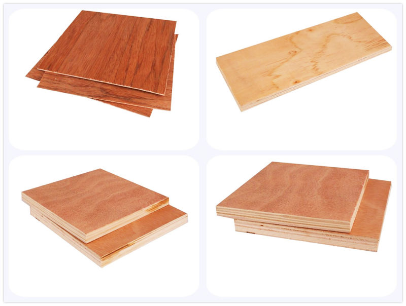 1220*2440mm Insulation Materials Triple Commercial Plywood for Construction